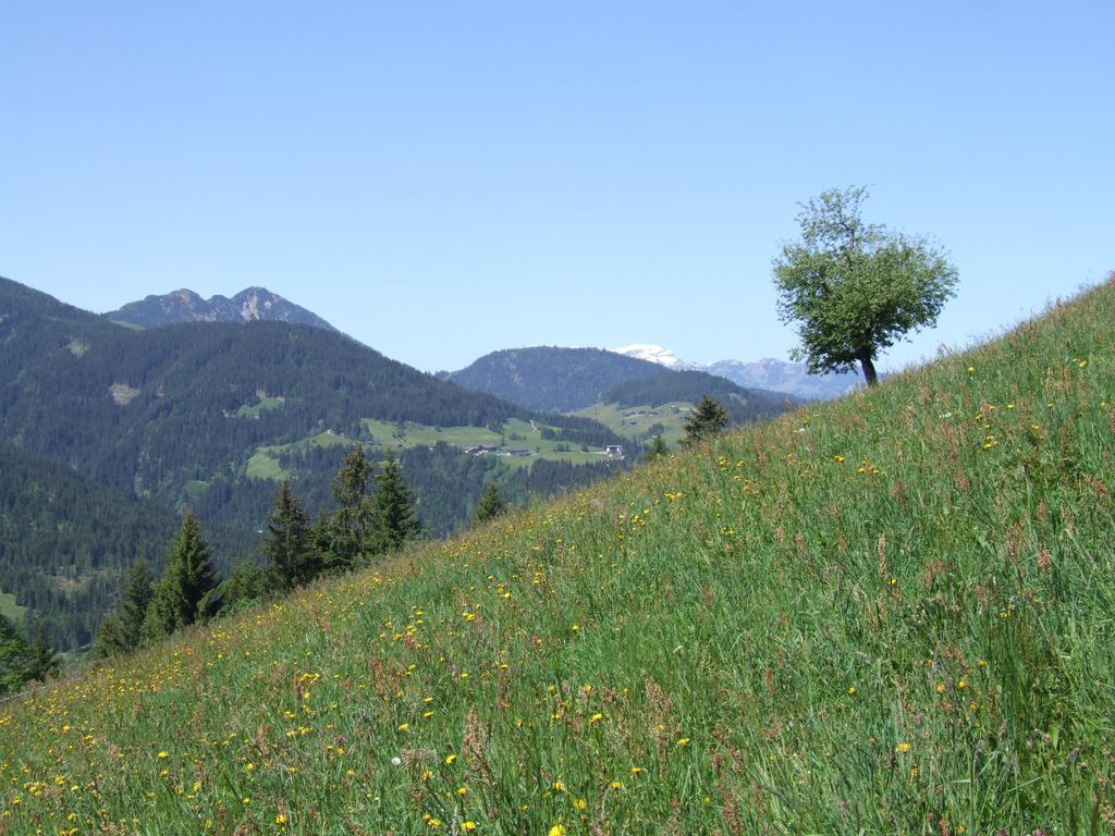 Pension Luzenberg 奥法赫 外观 照片